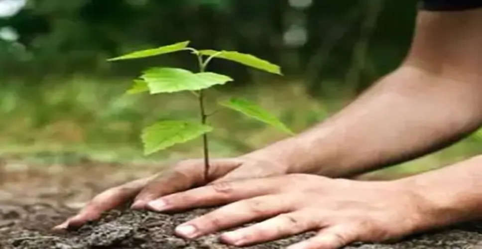 Banswara जिले में चिकित्सा विभाग हरि-वन वृक्षारोपण अभियान चलाएगा