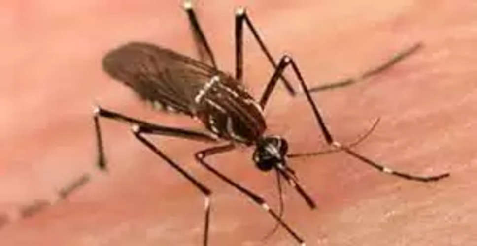 Banswara सिर्फ एलाइजा टेस्ट में डेंगू पॉजिटिव, कार्ड में 94% पर भी गिनती नहीं