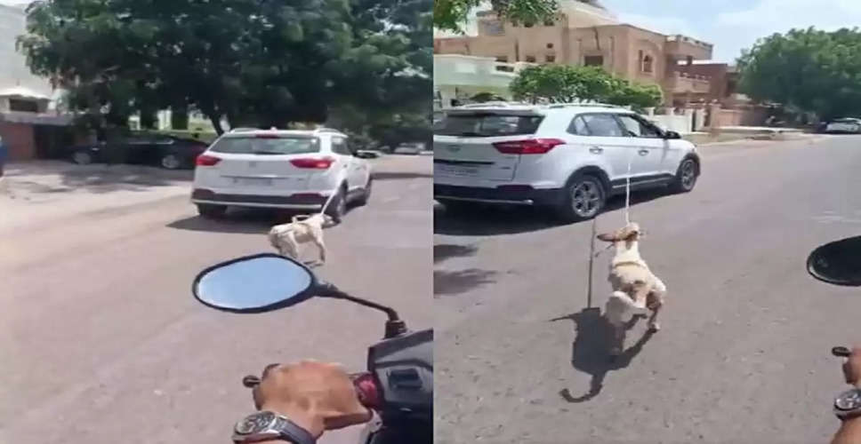 Rajasthan Breaking News: जोधपुर में डाॅक्टर ने अपनी कार से कुते को बांध कर घसीटा, डॉक्टर के खिलाफ पशु क्रूरता का मुकदमा दर्ज