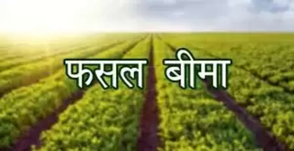 Karoli&nbsp;फसलों को मिलेगा बीमा का सुरक्षा कवच, 31 तक कराएं फसल बीमा