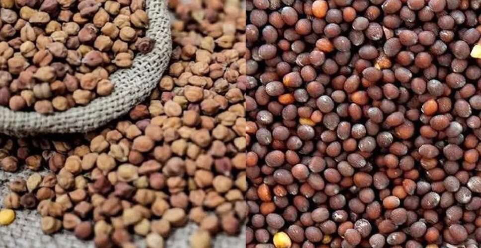 Sawaimadhopur&nbsp;चने की बिक्री में ये बड़ी वजह बनी रोड़ा, निराश धरतीपुत्र