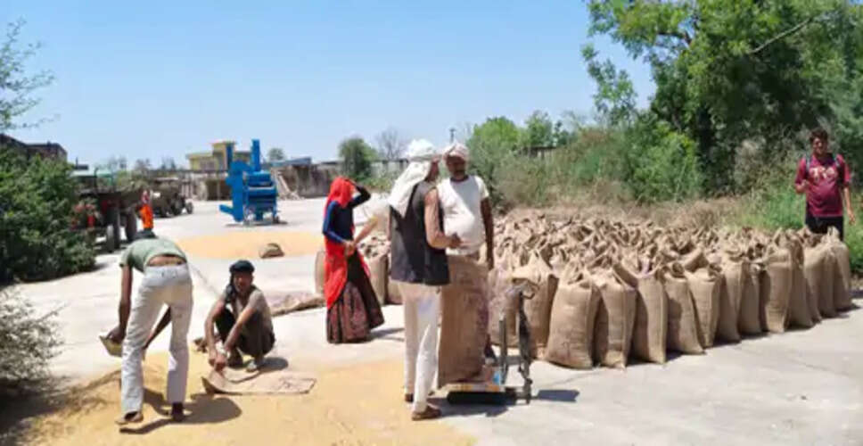 गेहूं खरीद केंद्र पर धीमी रफ्तार, 15&ndash;20 किसान ही पहुंच रहे, समय सीमा निकलने की आशंका