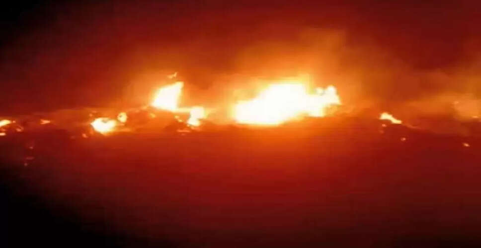 Karauli जिले के&nbsp;जोड़ली गांव में किसान की मेहनत पर फिर पानी, जलकर ख़ाक हुई 5 बीघा में लगी सरसों की फसल