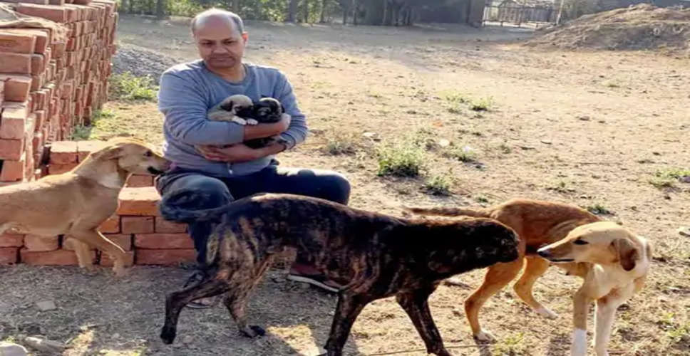 Udaipur  उदयपुर में  शिकार करने घर में घुसे तेंदुए पर कुत्तो ने किया हमला 
