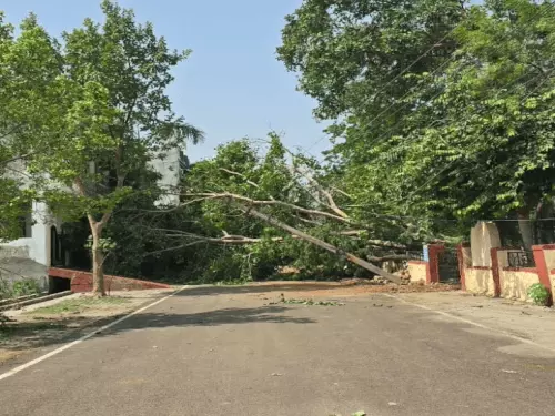 कोटा में प्री-मानसून बारिश से राहत, गर्मी घटी लेकिन उमस बढ़ी