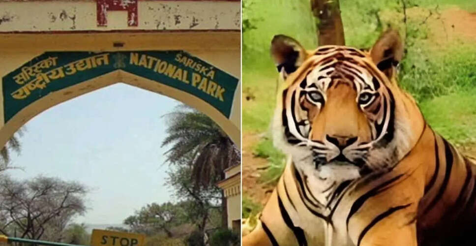 अलवर में ग्रामीणों का क्रिटिकल टाइगर हैबिटेट (CTH) सीमा बदलाव के प्रस्ताव का विरोध