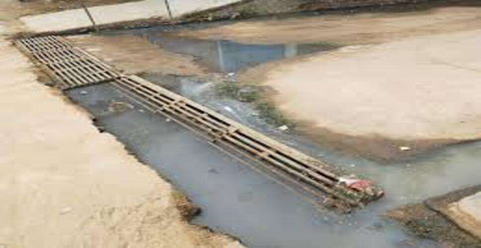 बालोतरा में लोहे के जाल में फंसकर हिरण घायल, पैर टूटा