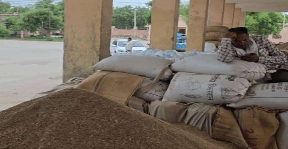 नागौर मंडी में जीरा 20 हजार रुपए क्विंटल तक बिका, सौंफ 13,500 और इसबगोल 12 हजार पर पहुंचा