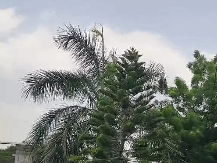 उदयपुर में सुहावना हुआ मौसम, बादलों और ठंडी हवाओं ने दी उमस से राहत; पर्यटकों में बढ़ा उत्साह
