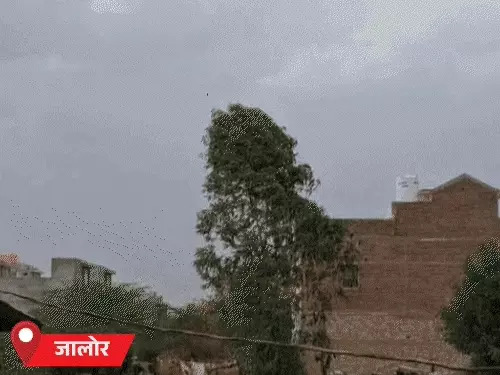 राजस्थान में मानसून की रफ्तार धीमी, अधिकांश जिले रहे सूखे; पश्चिमी राजस्थान में अगले 24 घंटे बारिश के आसार नहीं