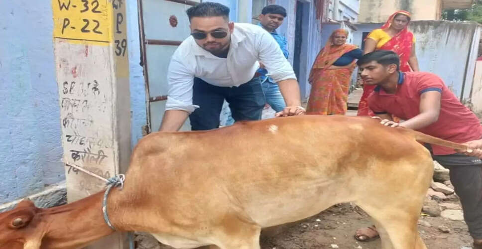 Karoli&nbsp;मोबाइल एप से मिलेगी पशु नस्ल व परिवार की सटीक जानकारी