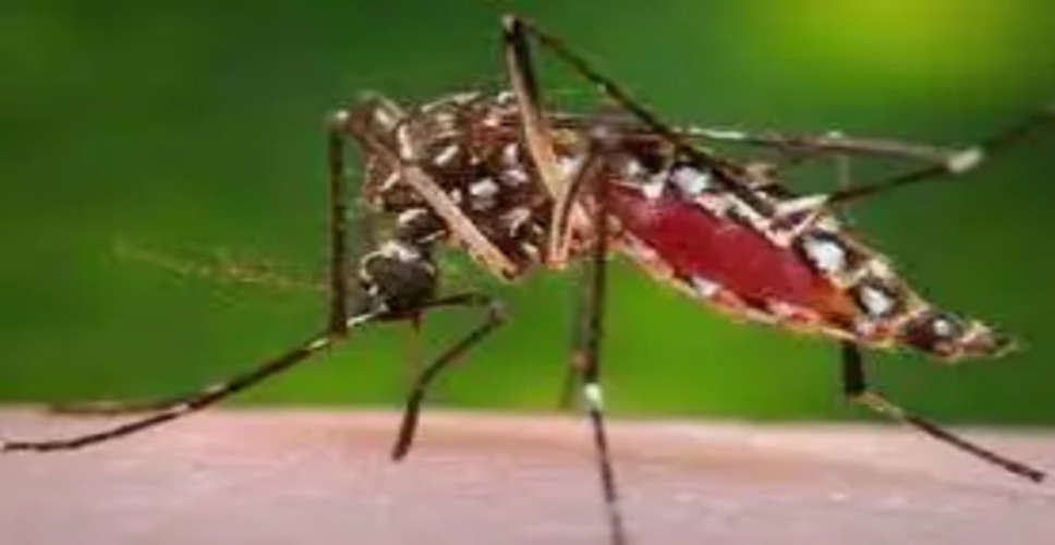 Sriganganagar ठंड बढ़ने के साथ बढ़ा डेंगू का खतरा, 600 मरीज आए सामने