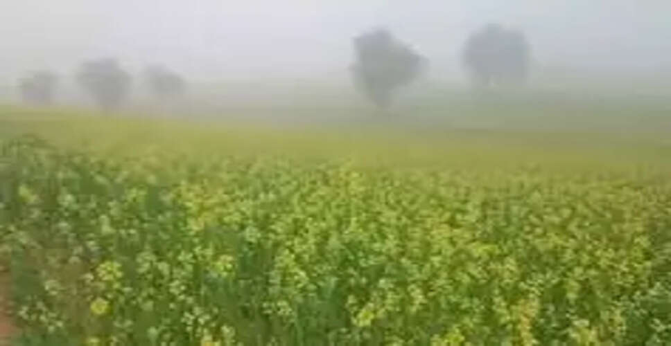 Karoli&nbsp;मावठ से किसानों को होगा फायदा, कोहरे से वाहन ड्राइवरों को हुई परेशानी