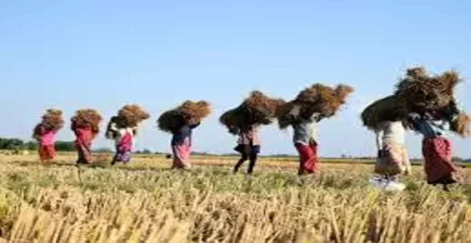 Karoli&nbsp;सेबी ने कृषि जिंसों के कारोबार निलंबन को एक माह और बढ़ाया