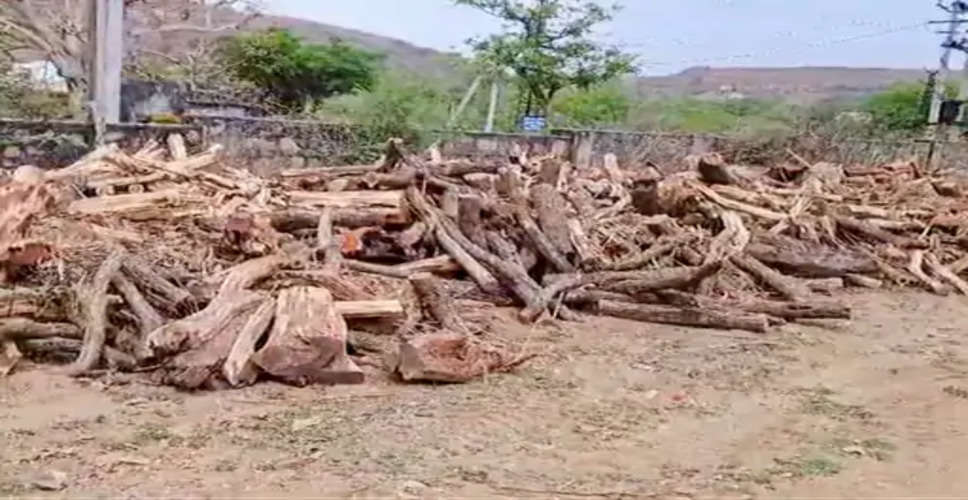 Bhilwara खेत में अवैध रूप से भरा गया खैर की लकड़ी का ढेर, युवक गिरफ्तार