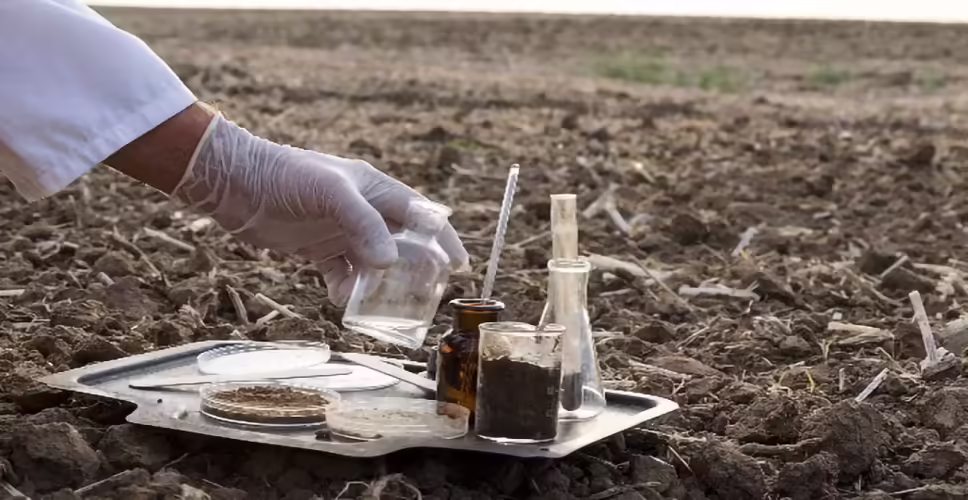 धरती मां की सेहत पर संकट! रसायनों के अत्यधिक प्रयोग से बिगड़ रही मिट्टी की गुणवत्ता, 18250 नमूने भेजे गए परीक्षण के लिए