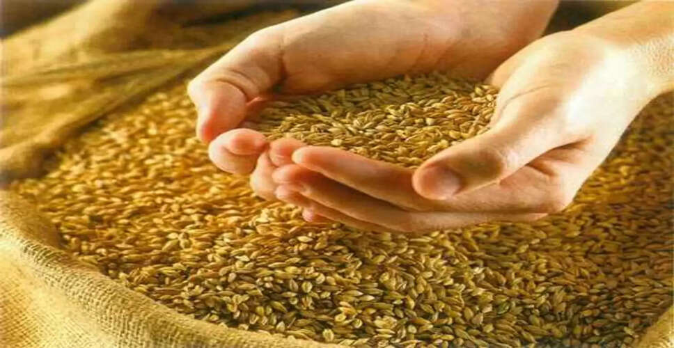 Chittorgarh खाद्य सुरक्षा में 11 हजार से ज्यादा लोग हुए बाहर, नए आवेदनों की भरमार