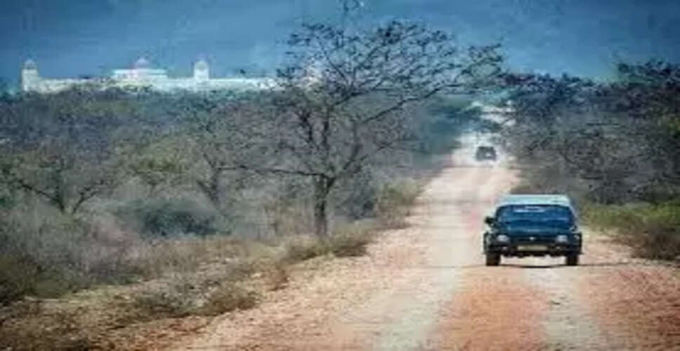 सरिस्का एलिवेटेड रोड के दो रूट तय, जयपुर की दूरी कम होगी, वीडियो में जानें सरिस्का टाइगर रिज़र्व का इतिहास&nbsp;