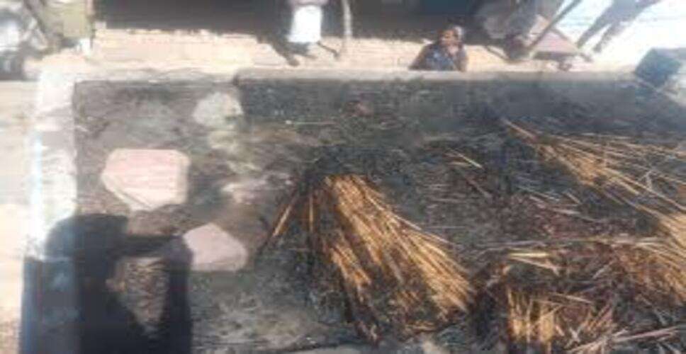 करौली में सरसों की तूड़ी के ढेर में भीषण आग, लाखों का पशु चारा जलकर राख