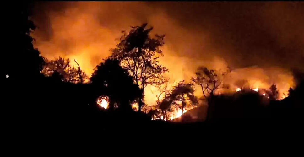 टोडाभीम की धरती पर आग का तांडव! दमकल के इंतज़ार में सैंकड़ों बीघा हरियाली और चारा जलकर राख, 4 घंटे लेट पहुंची फायर ब्रिगेड&nbsp;