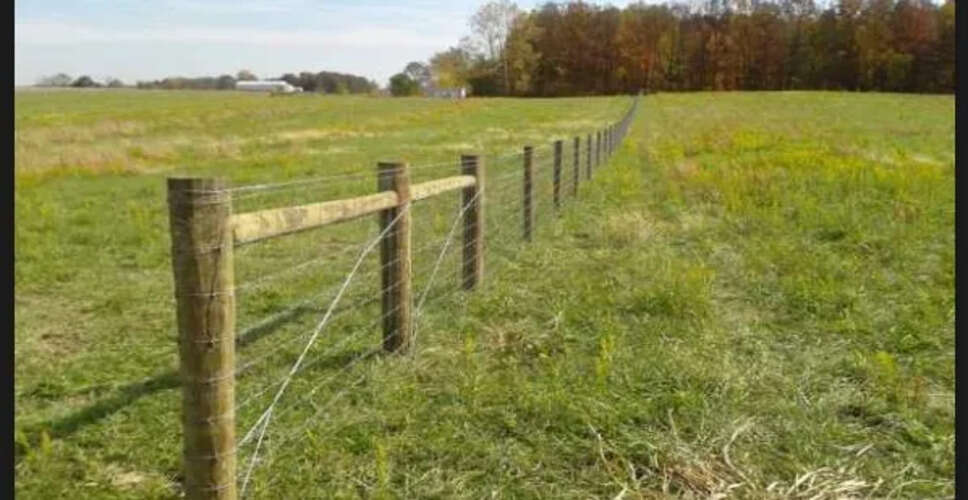 Jhunjhunu&nbsp;में अब 6 बीघा जमीन पर बाड़ लगाने के लिए 40 हजार का अनुदान दिया जाएगा