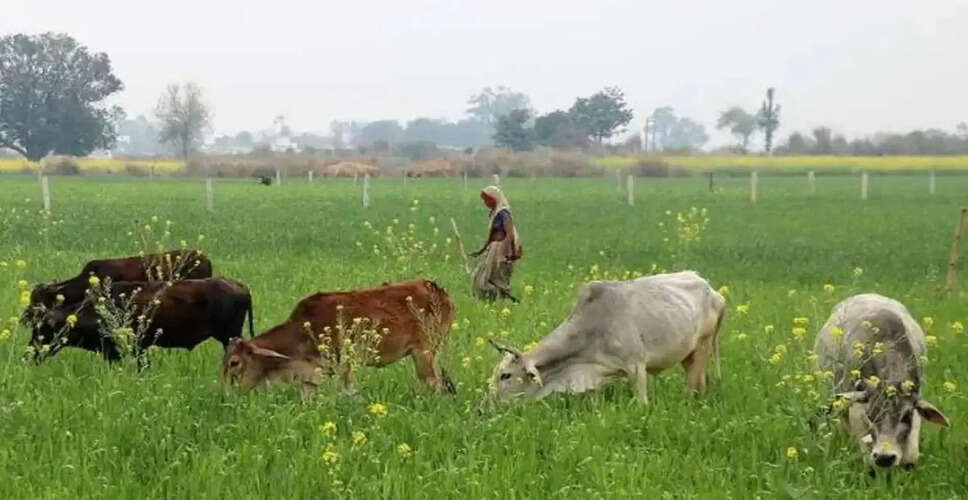 Karoli&nbsp;खेत में गाय घुसने पर छिड़ा विवाद, &nbsp;6 जने हुए घायल