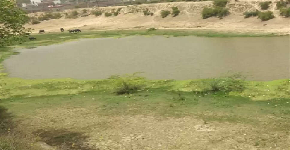 Karoli आसमां से बरसा अमृत तो खुशियों से सराबोर हो उठे बांध और तालाब