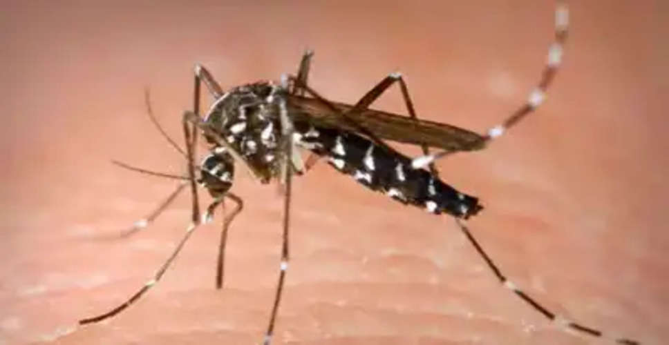 Jhunjhunu में डेंगू का प्रकोप, चिकित्सा विभाग अलर्ट टीम ने घर-घर जाकर किया सर्वे