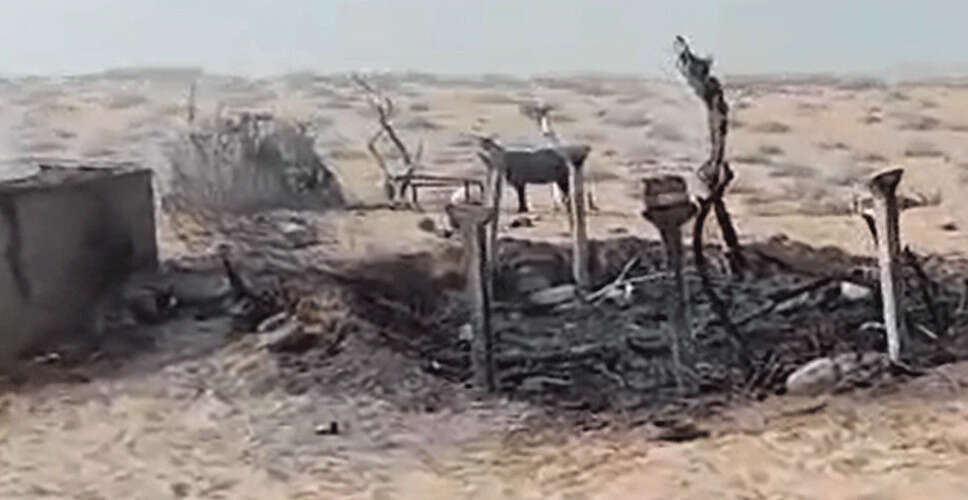 Jaisalmer&nbsp;में 5 कच्चे घर और 10 भेड़ के बच्चे जले, तेज़ हवा से फैली आग, दमकल के आने से पहले सब कुछ जलाकर हुआ राख