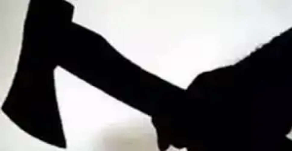 Nagaur&nbsp;मामूली विवाद को लेकर बड़े भाई ने छोटे भाई की कुल्हाड़ी मारकर की हत्या